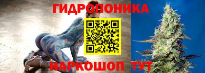 крисы Ангарск