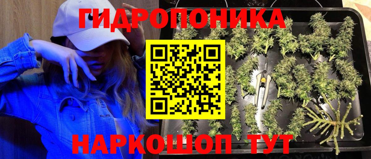Бошки Шишки THC 21% Красный Сулин